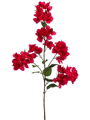 44" Bogainvillea Spray BT
