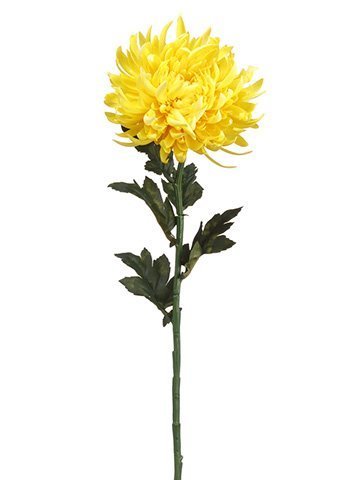 24" Chrysanthemum Spray YE/GO