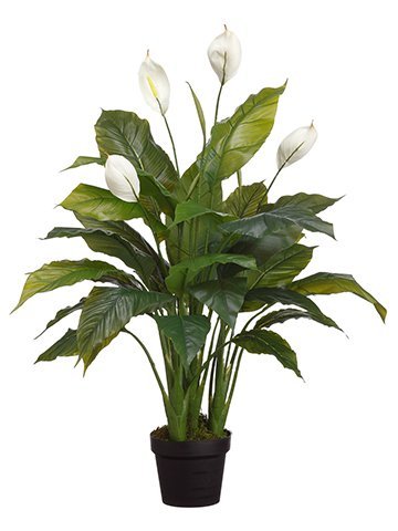 42"SPATHIPHYLLUM PLANT IN POT