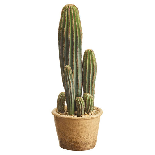 15.5" Column Cactus In Pot GR