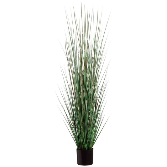 72" GRASS/HORSE TAIL PLANT (P) GR