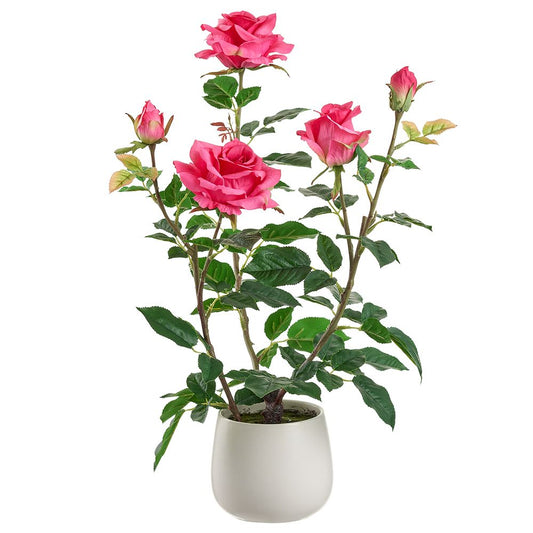 21.6" Rose in ceramic vase RO