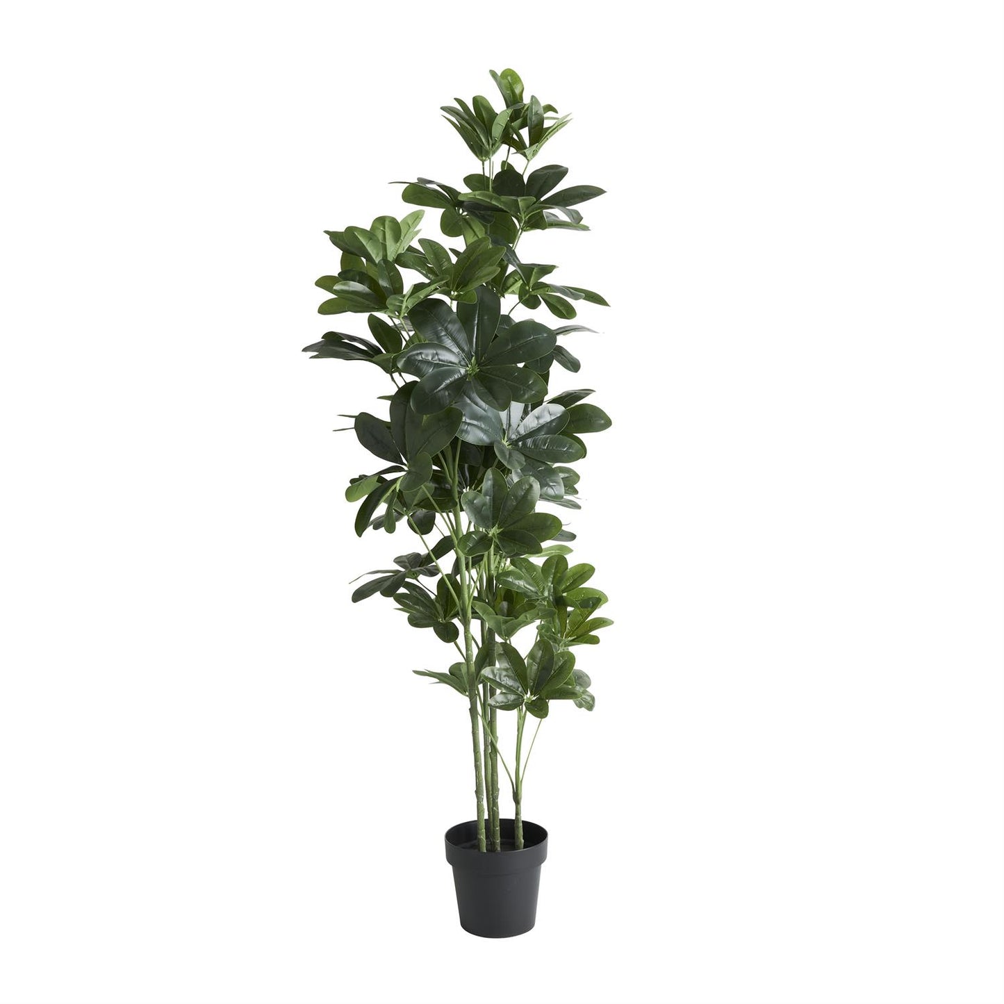 Green Faux Foliage Money Tree Tall Artificial Tree with Black Pot, 30" x 24" x 63"