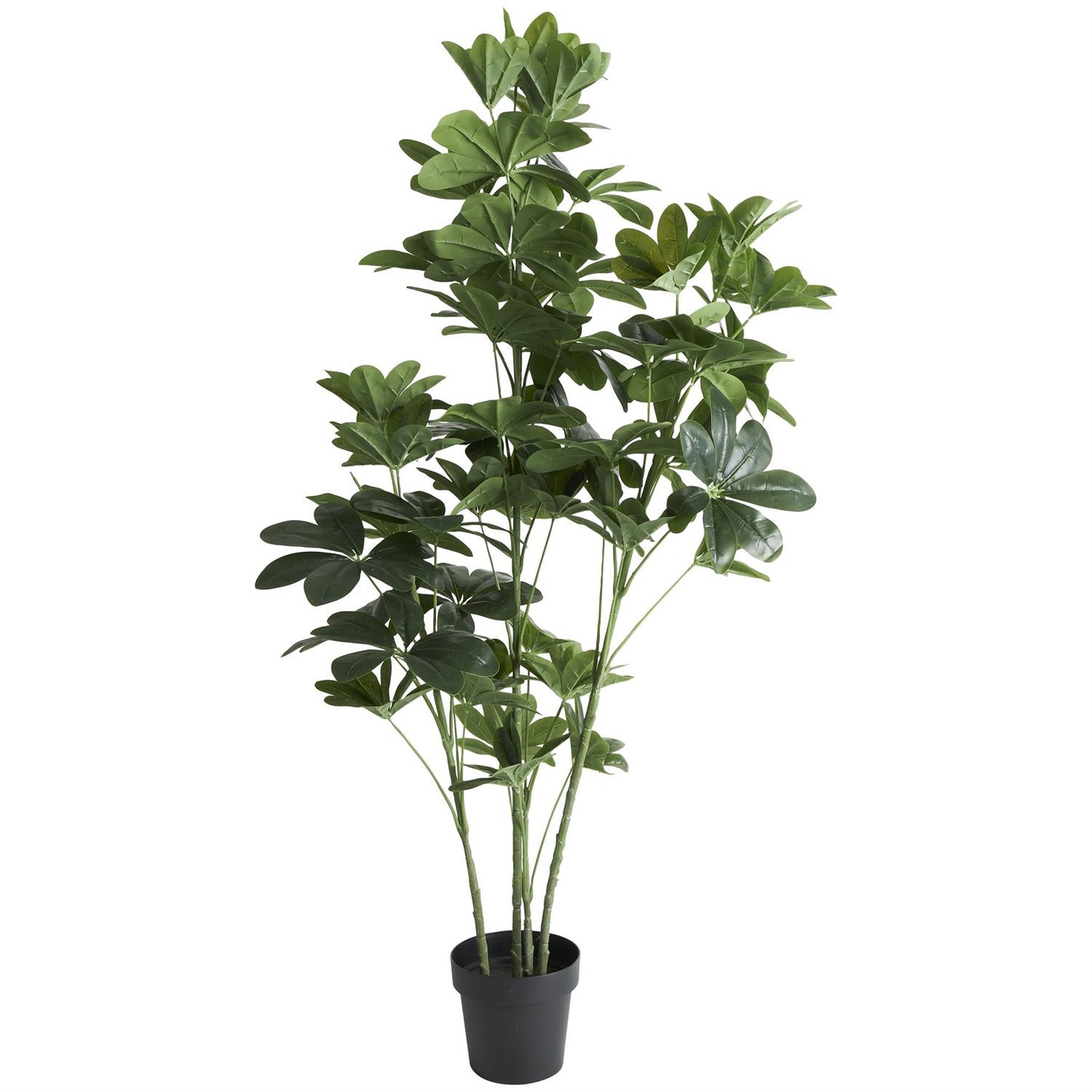 Green Faux Foliage Money Tree Tall Artificial Tree with Black Pot, 30" x 24" x 63"