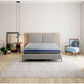 Butterfly Pearl 14'' Mattress