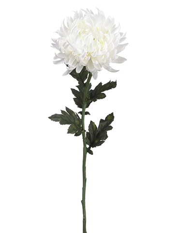 24" Chrysanthemum Spray WH