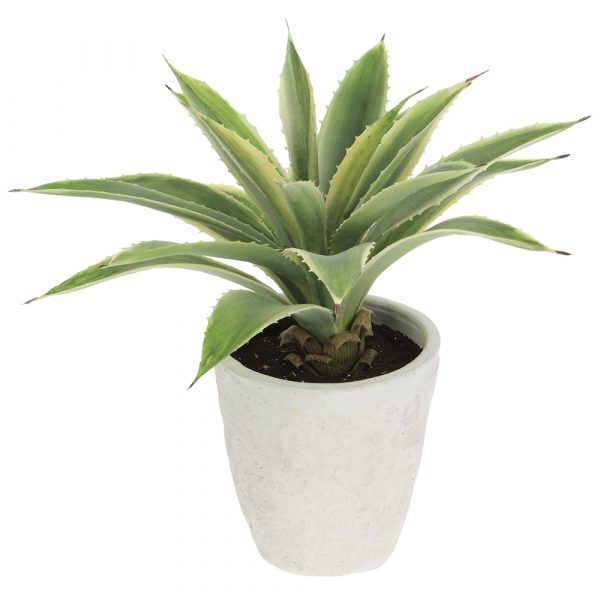 12" Agave In Cement Pot GR/CR