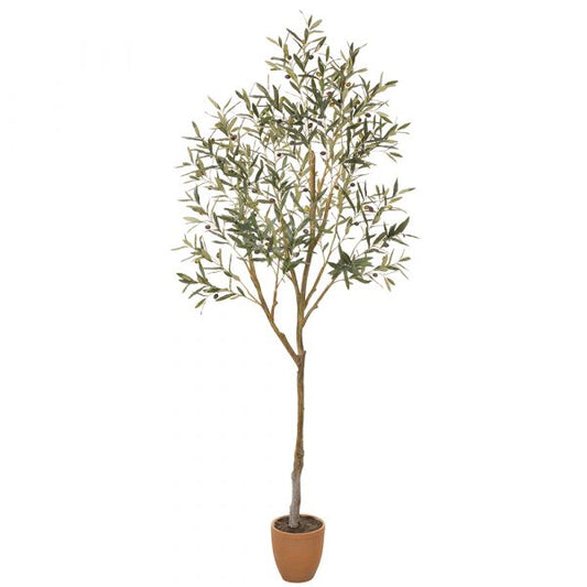 84" OLIVE TREE IN CEMENT POT GR