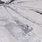 Nevada  NV04
