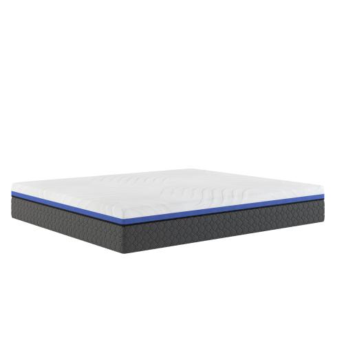 Butterfly Luna 12" Foam Twin XL Mattress