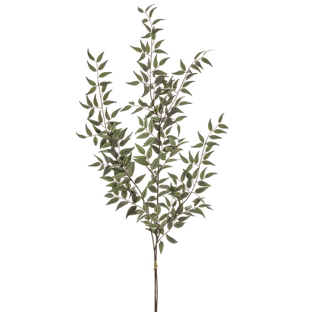 49" ITALIAN RUSCUS LEAF BUNDLX3