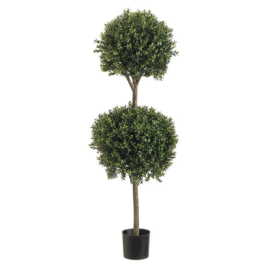 4' DBL BALL BOXWOOD TOP.(P) GRTT