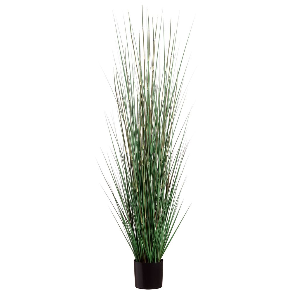 72" GRASS/HORSE TAIL PLANT (P) GR