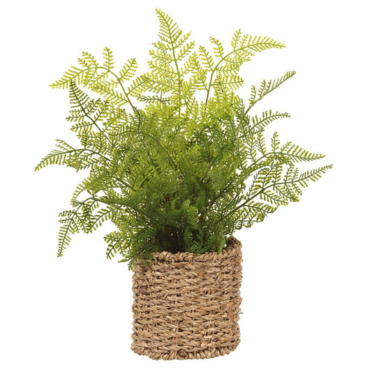 15"Leather Fern In Basket GR