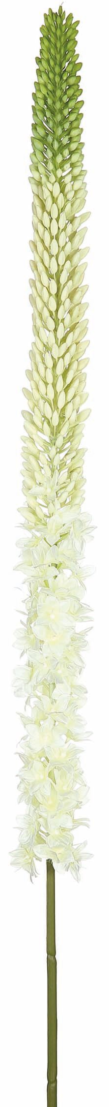 51" FOXTAIL LILY SPRAY WH/GR