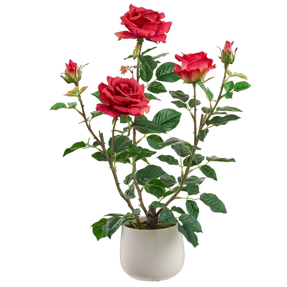 21.6" Rose in Ceramic Vase RE