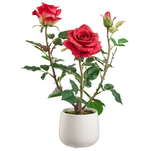 16.1" Rose in Ceramic Vase RE