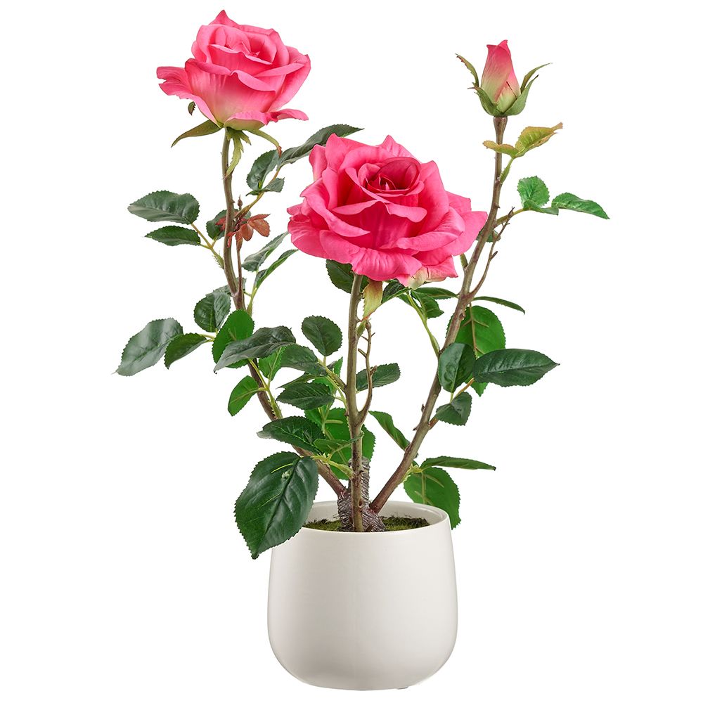 16.1" Rose in Ceramic Vase RO