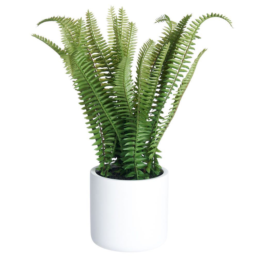 14"Fern in Poly Resin pot  GR