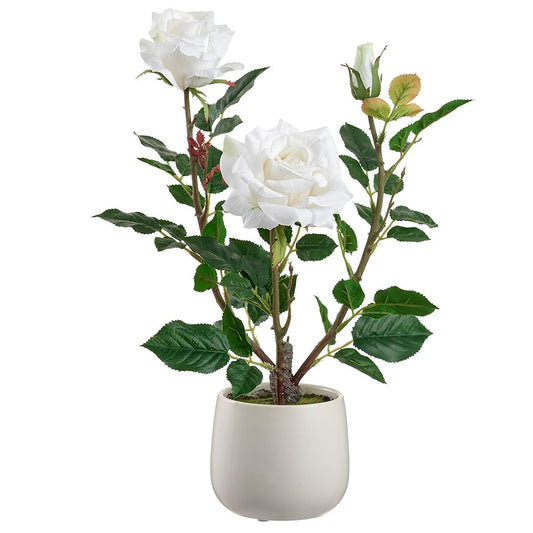 16.1" Rose in Ceramic Vase WH