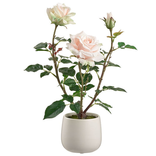 16.1" Rose in Ceramic Vase PK
